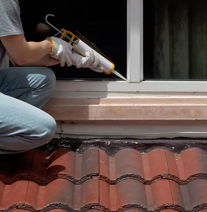 Roof Window Services in Safety Harbor, Florida