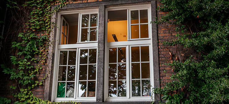 Energy Efficient Wood Windows in Safety Harbor, FL