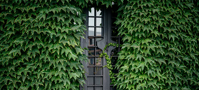 Garden Gate Repair in Safety Harbor, FL