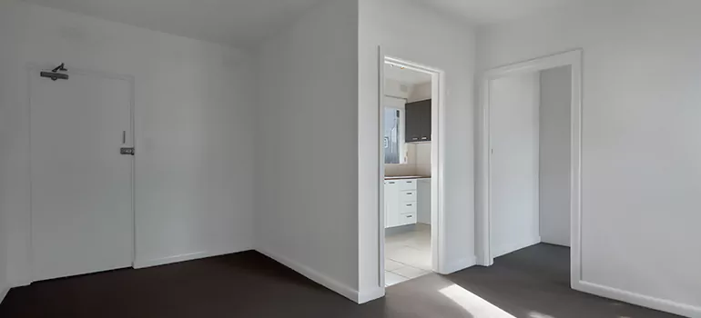Dark Interior Doors in Safety Harbor, FL