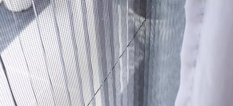 Fixing Screen Window Mesh in Safety Harbor, FL