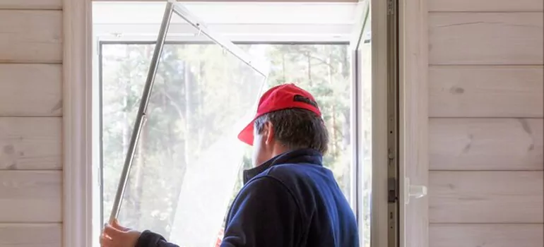 Expandable Window Screen Installation in Safety Harbor, FL