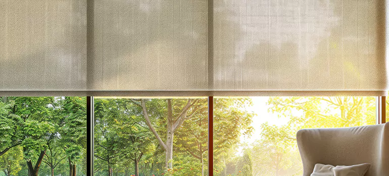 Custom Window Shades in Safety Harbor, FL